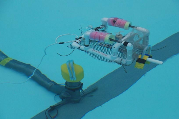 Underwater Robotics